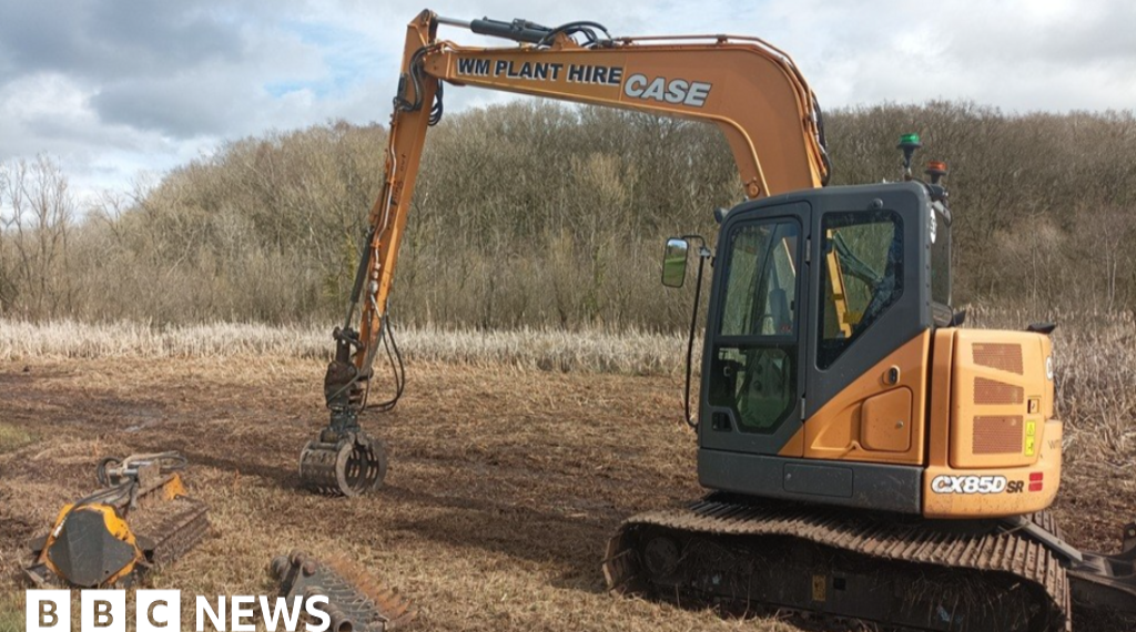 More cash to tackle willow threat at wetland