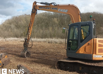 More cash to tackle willow threat at wetland