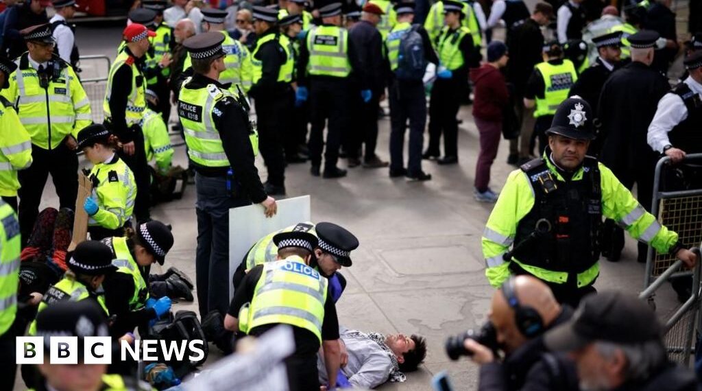 More than 200 arrests at Palestine Action demonstration