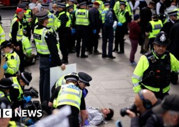 More than 200 arrests at Palestine Action demonstration