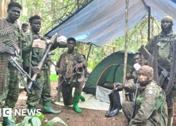 More than 200 rescued from IS-linked group in DR Congo