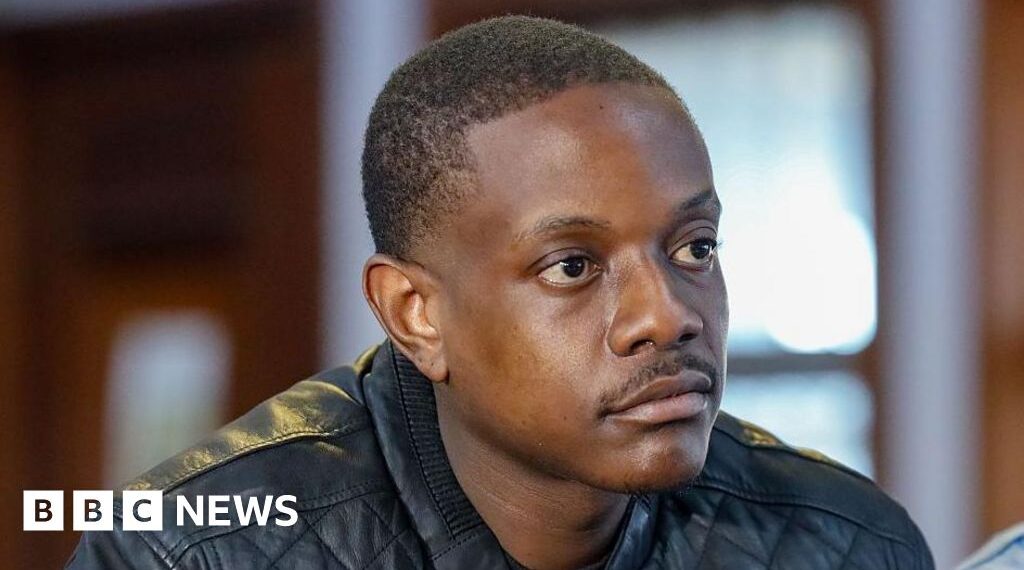Mugabe's son pleads guilty to pointing a gun in South Africa