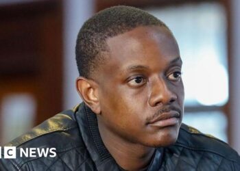 Mugabe's son pleads guilty to pointing a gun in South Africa