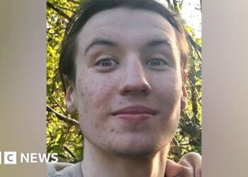 Murder arrest over Primrose Hill stabbing