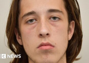 Neo-Nazi guilty of terror charge after MI5 sting
