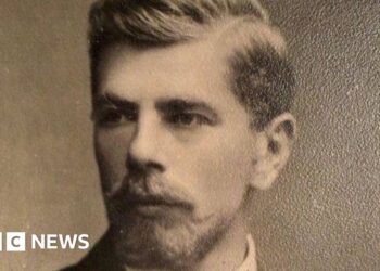 New search engine reveals if ancestors were in Nazi party
