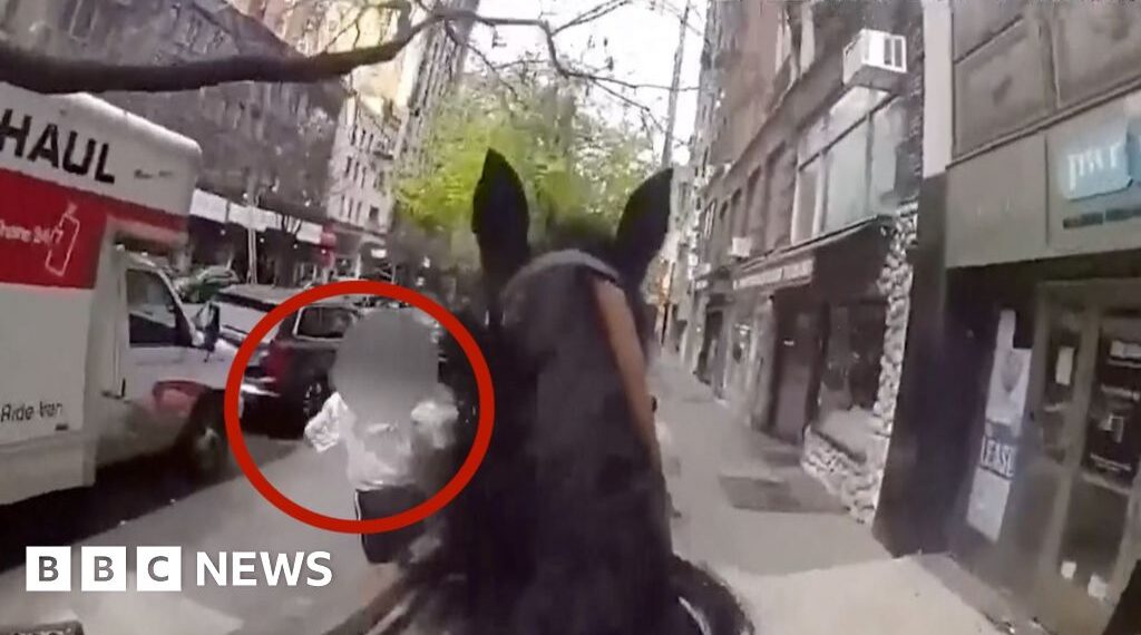 Officer on horseback chases suspect through New York streets