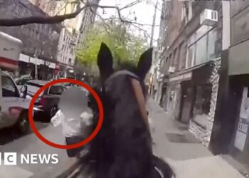 Officer on horseback chases suspect through New York streets