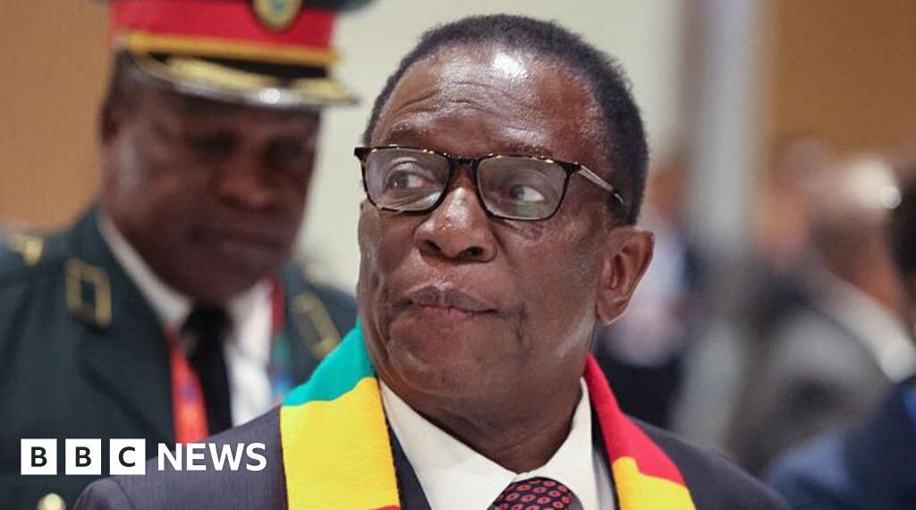 Plan to scrap presidential elections puts Zimbabweans at loggerheads