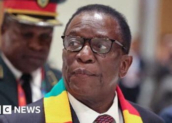 Plan to scrap presidential elections puts Zimbabweans at loggerheads