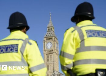 Police offered support to tackle rising threats against MPs
