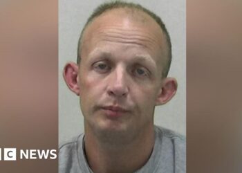 Rapist jailed for deliberate HIV infections