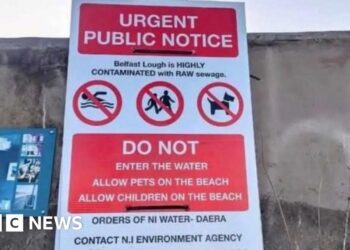 Raw sewage posters at lough not official, says minister