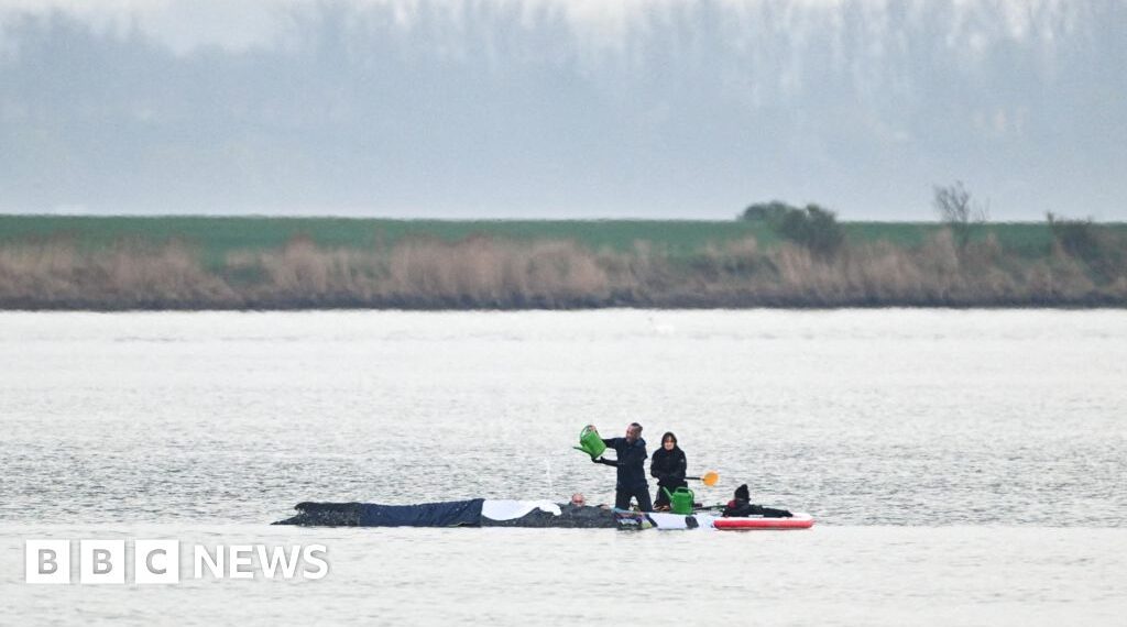 Rescuers to use air cushions in latest effort to save stranded whale