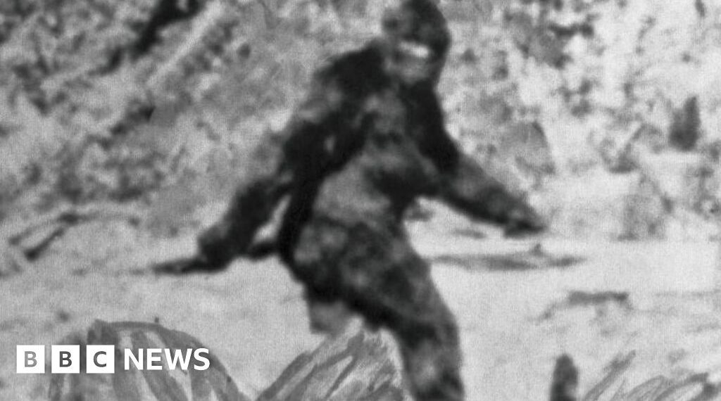 Researchers spent years interviewing 160 Bigfoot hunters - this is what they learnt