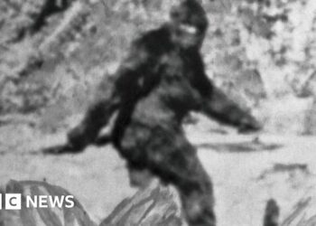 Researchers spent years interviewing 160 Bigfoot hunters - this is what they learnt