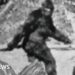 Researchers spent years interviewing 160 Bigfoot hunters - this is what they learnt