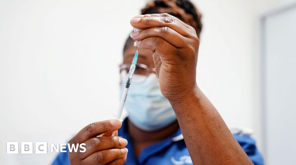 Rollout of Covid vaccines extraordinary feat - inquiry report