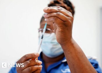 Rollout of Covid vaccines extraordinary feat - inquiry report