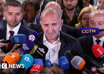 Rumen Radev's party wins Bulgarian election