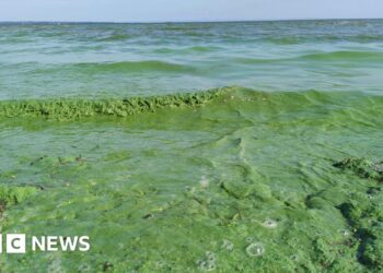 'Significant change' needed to tackle agri pollution