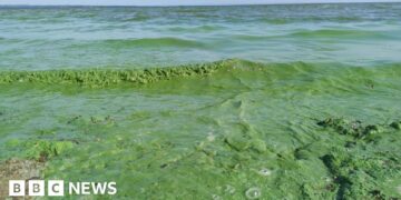 'Significant change' needed to tackle agri pollution