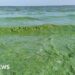 'Significant change' needed to tackle agri pollution