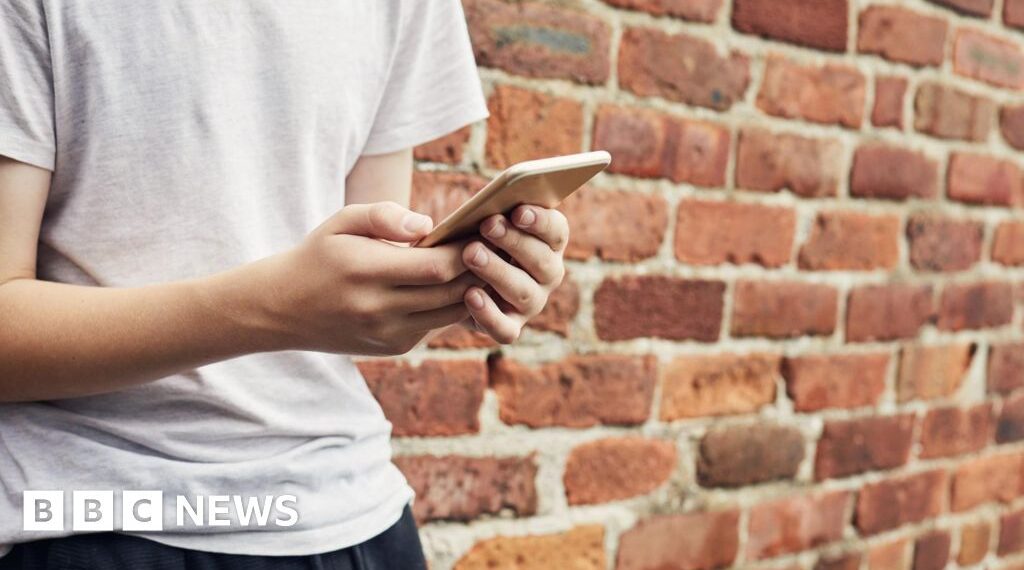 Social media restrictions for under-16s even if no ban, minister says
