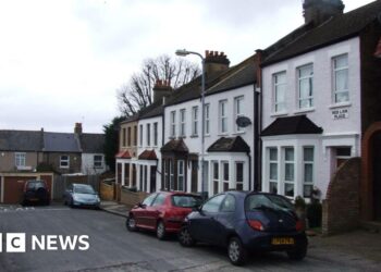 Son charged with fatal stabbing of 84-year-old mum