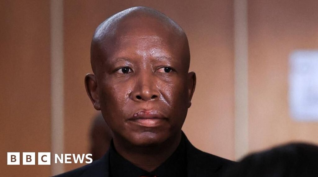 South African opposition figure sentenced to five years