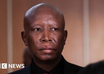South African opposition figure sentenced to five years
