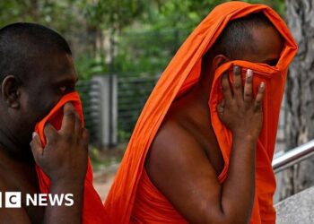 Sri Lankan monks arrested after 110kg of cannabis discovered in their luggage