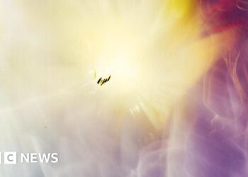 Student uses space cosmic rays to make photographs