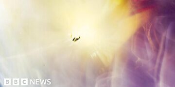 Student uses space cosmic rays to make photographs