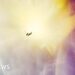 Student uses space cosmic rays to make photographs