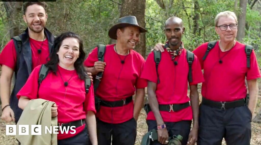 Tensions flare in heated I'm A Celebrity live final