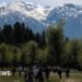 The Kashmir town trying to win back tourists after a deadly attack