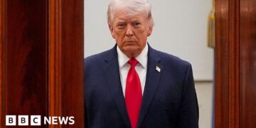 The insider trading suspicions looming over Trump's presidency