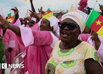 Thousands celebrate open-air Mass with Pope Leo in Cameroon - in pictures