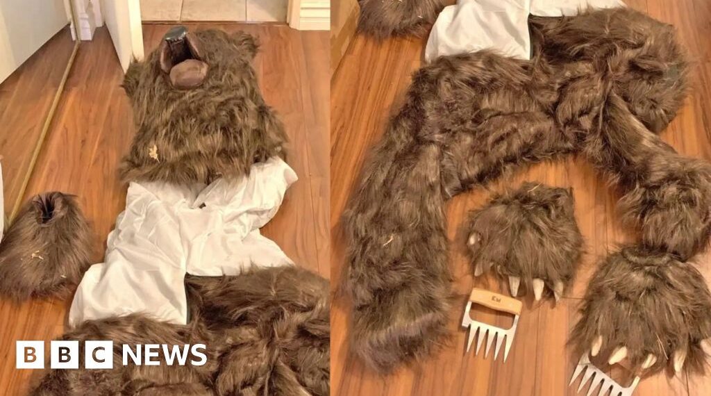 Three sentenced for 'man in bear suit' insurance scam
