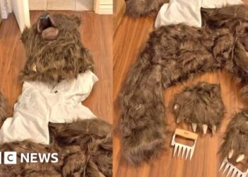 Three sentenced for 'man in bear suit' insurance scam