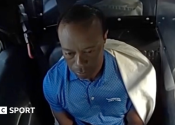 Tiger Woods sits in the back of a police car after being arrested