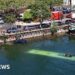 Trainee driver crashes bus into River Seine