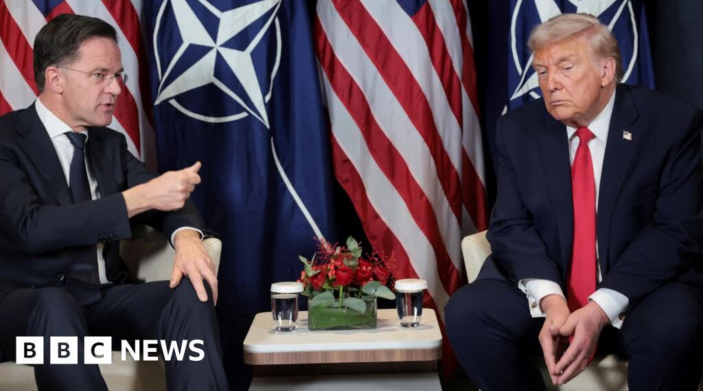 Trump criticises Nato as alliance chief describes meeting as 'very frank'
