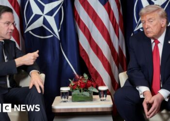 Trump criticises Nato as alliance chief describes meeting as 'very frank'