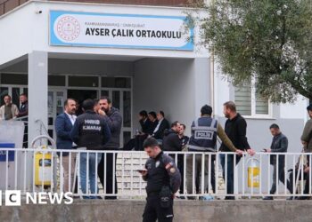 Turkish police detain 162 people over online posts about school shootings