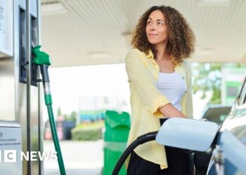UK petrol and diesel prices fall after weeks of rises