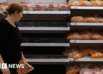 UK prepares for food shortages in worst case scenario as Iran war continues