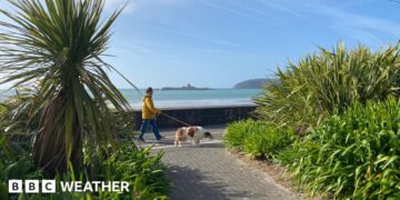 photo looking out to sea but with some greenery in the foreground and a person walking their dog.  A headland in the distance