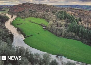 UK's biggest ever environmental pollution claim reaches High Court